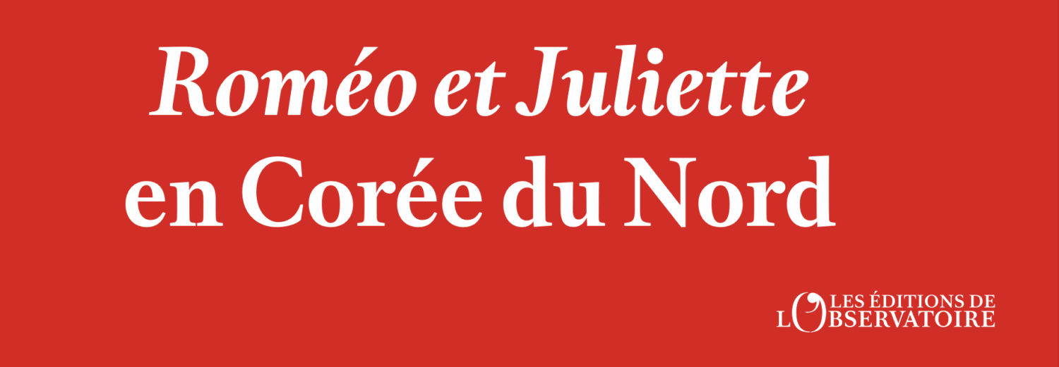 Nicolas Gaudemet, Ecrivain